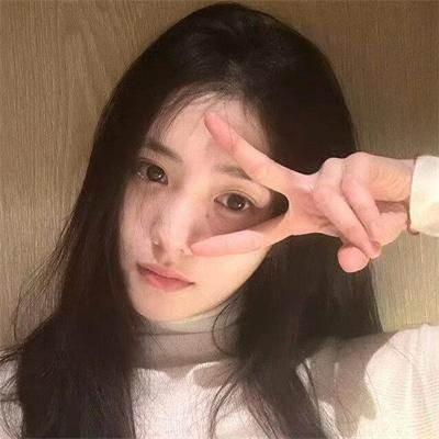 棕榈树森林