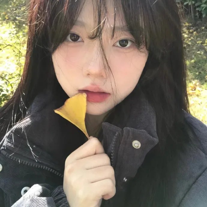 爱情领域2